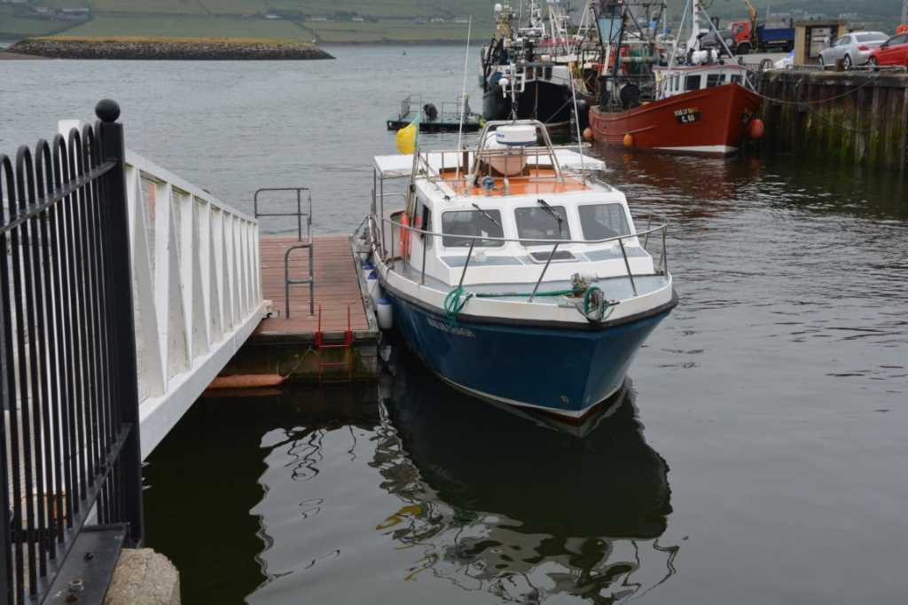 DSC_0623Mittel_.JPG